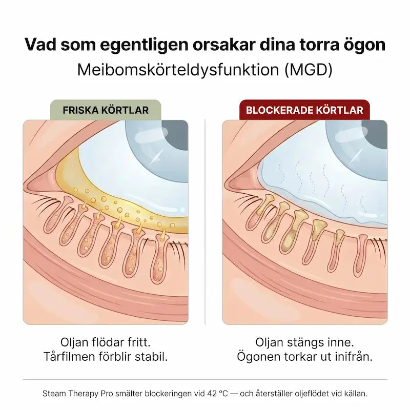 Leminda Steam Therapy Pro