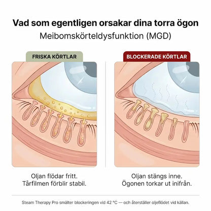 Leminda Steam Therapy Pro